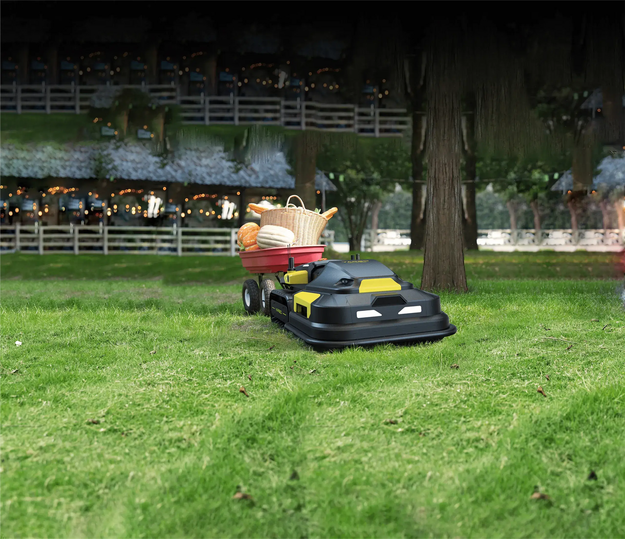 lawn care