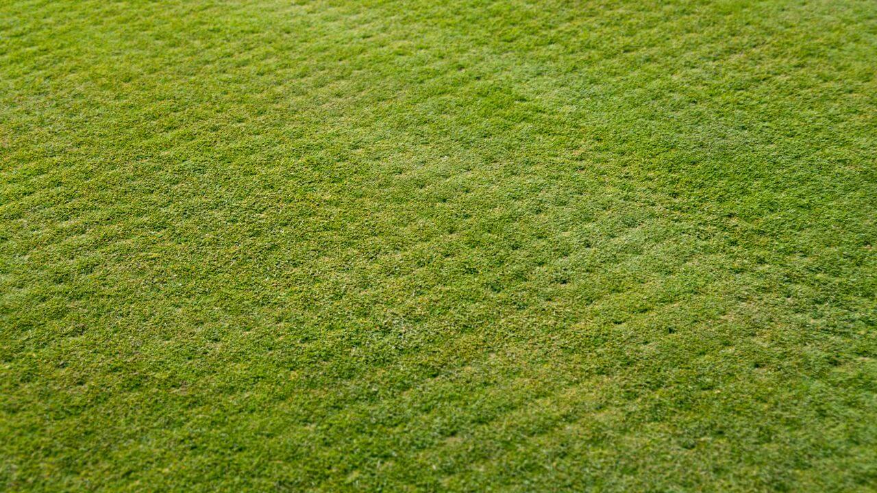 Ground after aeration